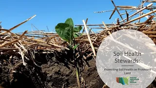 Soil Health Stewards: Soil Health Principles, Practices, & Barriers – Part 1