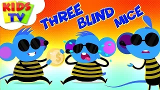 Three Blind Mice | Preebeez Cartoons | Kindergarten Nursery Rhymes For Children - Kids TV