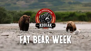 Kodiak® Keep It Wild™ in partnership with Fat Bear Week