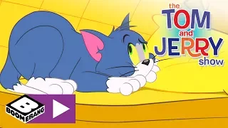 Tom i Jerry Show | Spacerek | Cartoonito