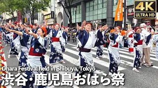 [4K]🇯🇵 Japanese Dancing in the streets of Shibuya, Tokyo, 2024. “Shibuya Kagoshima Ohara festival”