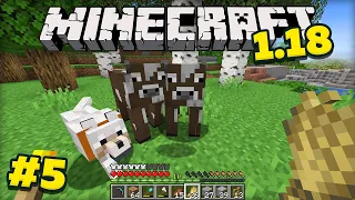 Майнкрафт 1.18 Выживание без модов! Как приручить коров в minecraft? #5