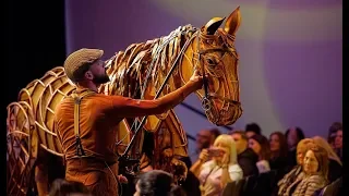 War Horse opens in Auckland