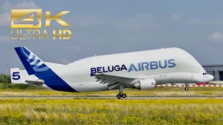 (4K) Beluga Airbus A300B4-608ST Super Transporter F-GSTF departure at XFW Airbus Hamburg