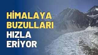 Himalaya Buzulları Hızla Eriyor