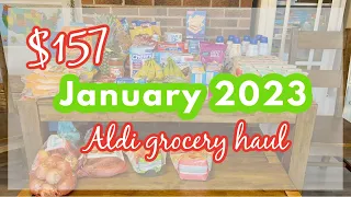 $157 ALDI HAUL || BONUS VIDEO!