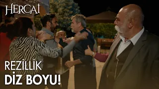 Bütün Şadoğlu konağı birbirine girdi! - Hercai Efsane Sahneler