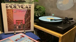 Polycat - 80 Kisses [Longplay/Side B] (Vinyl Rip)