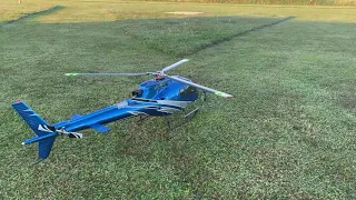 Trex 550X in AS350 FUNKEY - 600 size