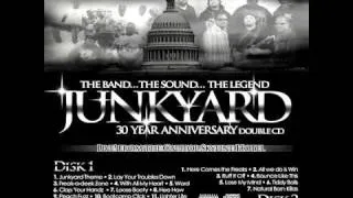 JUNKYARD BAND - 30 YEARS ANNIVERSARY HITTIN WITH ALL MY HEART