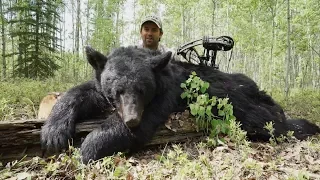 Alberta Black Bear Bow Hunting | Pure Hunting S.5, Ep.509,  "ALBERTA BEAR"