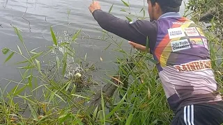 PRIMEIRA ARMADILHA PARA TUCUNARÉ, ELES MORDERAM COM FORÇA! PESCA NA BARRAGEM GIGANTE!