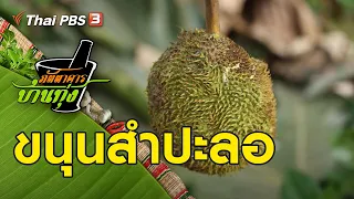 ขนุนสำปะลอ : ภัตตาคารบ้านทุ่ง