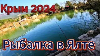 ▶️ Рыбалка на платном пруду в Ялте Озеро Ай-Василь Ловля карася на удочку с поплавком в Крыму 2024