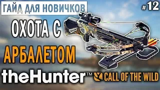 theHunter Call of the Wild #12 🔫 - Охота с Арбалетом + БРИЛЛИАНТ - ГАЙД для Начинающих