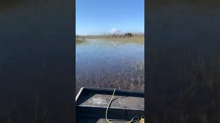 A ride through the restricted area of the Everglades.