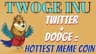 TWITTER PLUS DOGE EQUALS TWOGE INU THE MEME COIN OF THE YEAR / DON'T MISS OUT