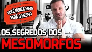 TUDO O QUE UM MESOMORFO PRECISA SABER ( dieta, calorias, cardio, treinos )