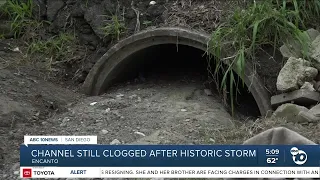 San Diego woman worries about clogged storm drain ahead of incoming rain