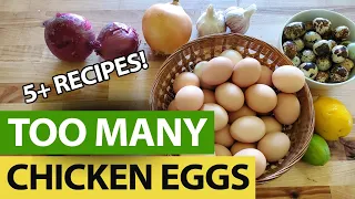What Do You Do With TOO MANY Eggs!?