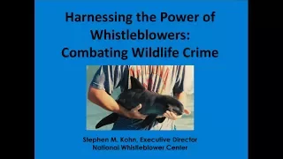 Using US Whistleblower Laws to Fight Illegal Fishing and Marine Pollution and Fund MPAs