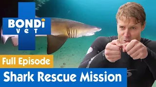 🦈 Dr Chris Brown's Shark Rescue Mission | FULL EPISODE | S7E15 | Bondi Vet