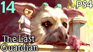 The Last Guardian Walkthrough Part 14 - Stuck In The Water (PS4 Gameplay)