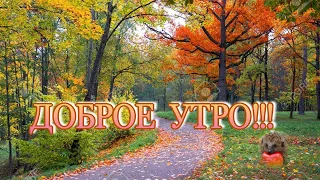 ДОБРОЕ УТРО!!!  Счастливой Вам Осени!  Тёплых и красивых дней!