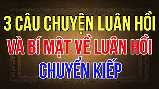 Những bí mật về luân hồi chuyển kiếp, 3 câu chuyện luân hồi