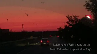 Deli Kadın Hikâyeleri, Mine Söğüt