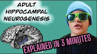 Adult Hippocampal Neurogenesis Explained in 3 Minutes