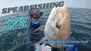 Spearfishing Oregon Inlet with Vicarious Spearfishing Charters