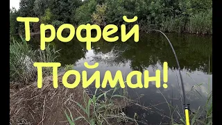 Трофейная Рыбалка На Поплавок!!!