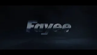 Fayee FY002 FPV Wifi Camera 4WD