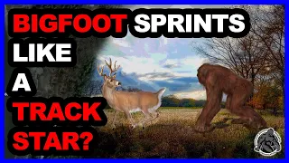 BIGFOOT Stalks Deer Like Sprinter - Alabama Witness Explains His Sighting