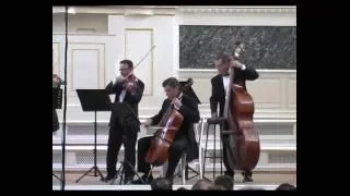 Virtuosi of Tel Aviv - "Hora staccato" Dinicu