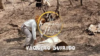 Vaquero Sufrido - Los Hermanos Hoyos