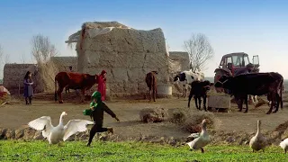 A Nomadic Father's Care and Love for his Children in an Afghan Village."