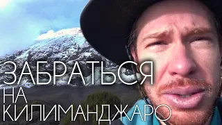 КАК ЗАБРАТЬСЯ НА КИЛИМАНДЖАРО? ⛰️ (Адвокат Егоров, Двое и Алое, Бантик Бой, Стас Давыдов)