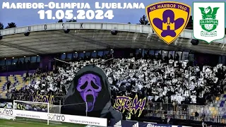 HooltrasTours / NK Maribor - Olimpija Ljubljana (11.05.2024) ( Viole Maribor Support )