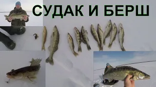 ЛОВЛЯ СУДАКА. ЛЕСКА 0,25. МОРМЫШКА 10 ГР. РЕЗУЛЬТАТ ПРЕВЗОШЕЛ ОЖИДАНИЯ.