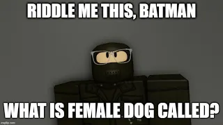 ANSWER MY RIDDLE, BATMAN!!! (But it's Roblox)