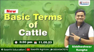 Livestock Production (Basic Terms of Cattle)