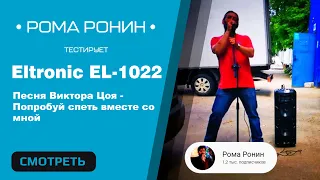 Роман Ронин тестирует Eltronic EL-1022 Песня Виктора Цоя - Попробуй спеть вместе со мной