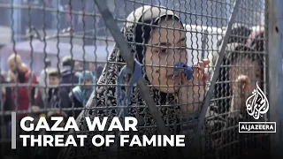 Gaza food crisis: Threat of famine for 576,000 Palestinians