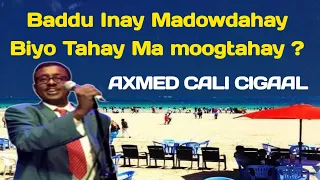 Batalaale cigaal Lyrics , Batalaale Lyrics , Badu inay madow dahay , badu inay madawdahay , cigaal