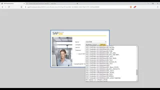 Basics on SAP Business One