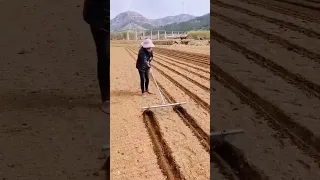 Smart Farming #satisfying #shortsvideo