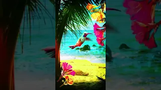 Galaxy Themes - [poly] colorful bird at the beach in summer