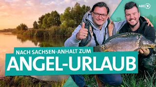 Angel-Urlaub mit Forelle, Karpfen und Zander | ARD Reisen